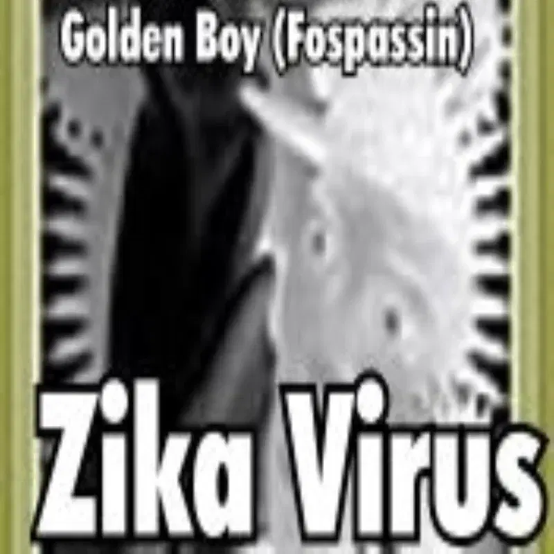 Zika Virus