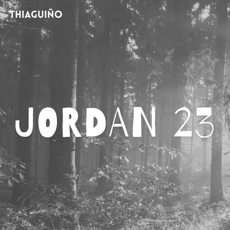 JORDAN 23