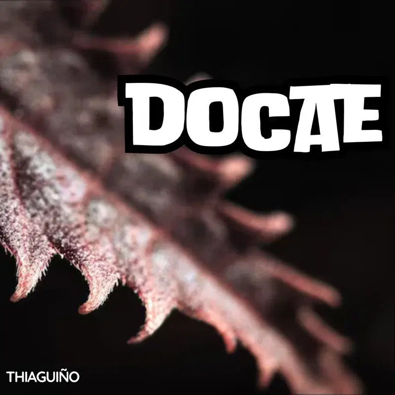 DOCAE