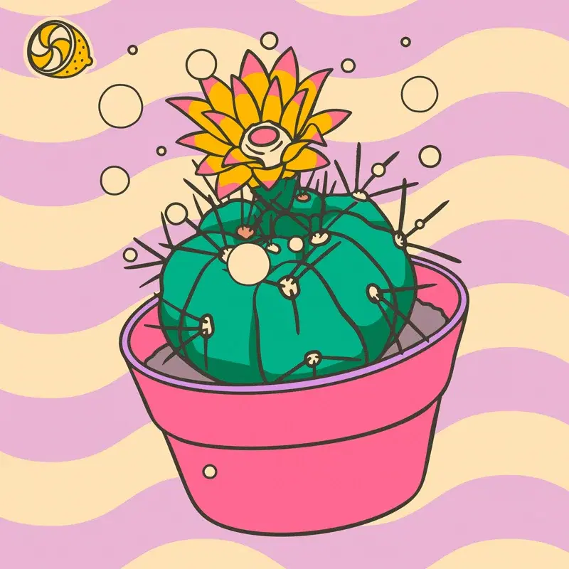 Chin Cactus