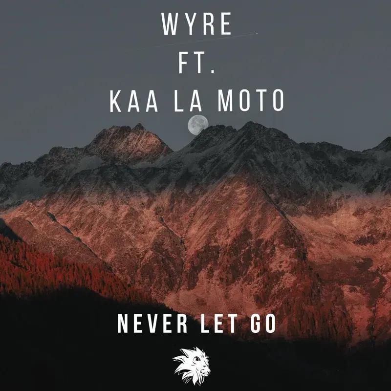 NEVER LET GO