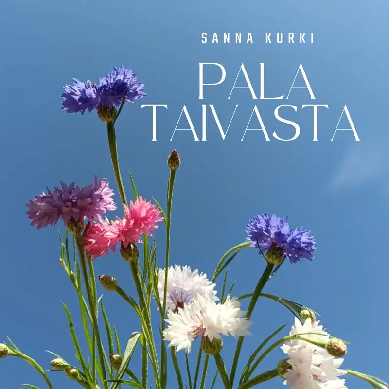 Pala taivasta