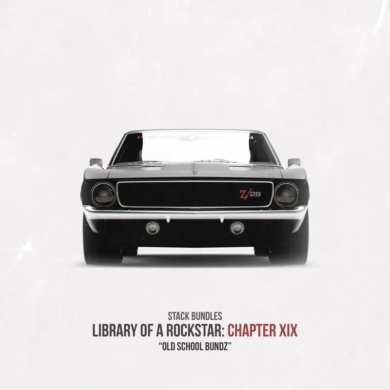 Library of a Rockstar: Chapter 19 - Old School Bundz