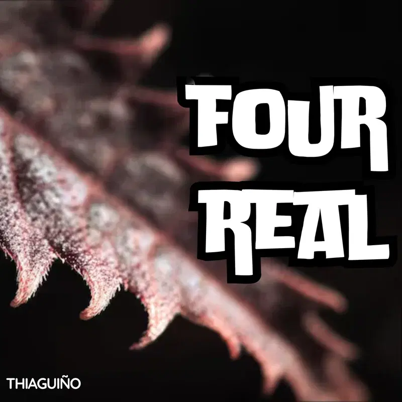 FOUR REAL