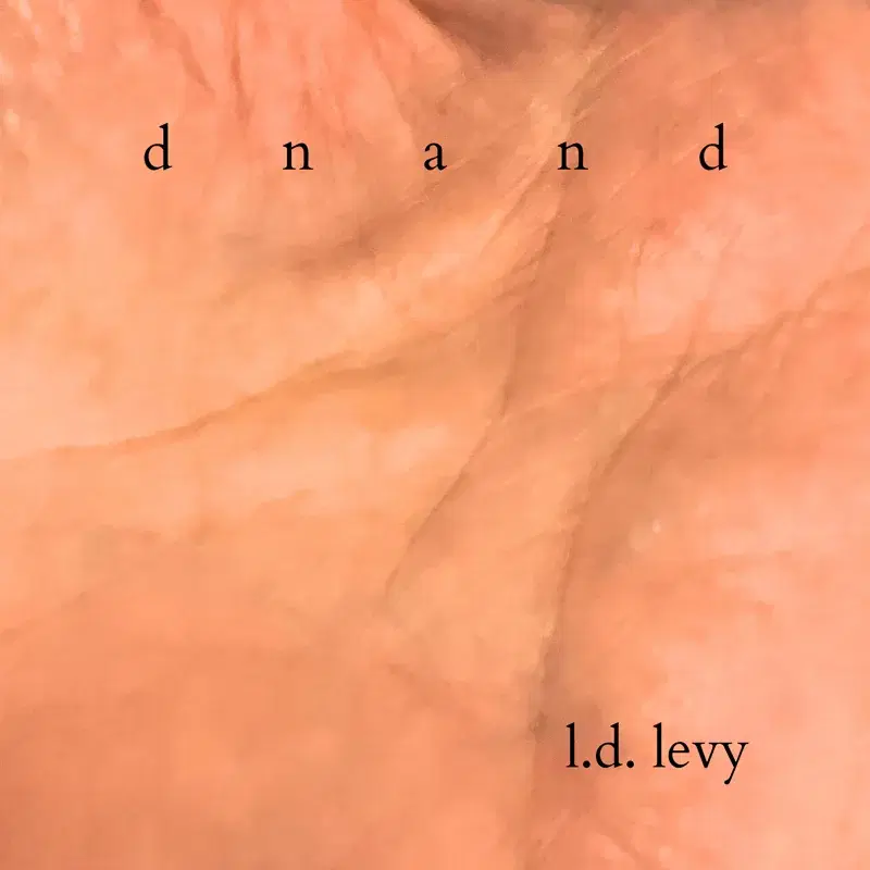 d n a n d