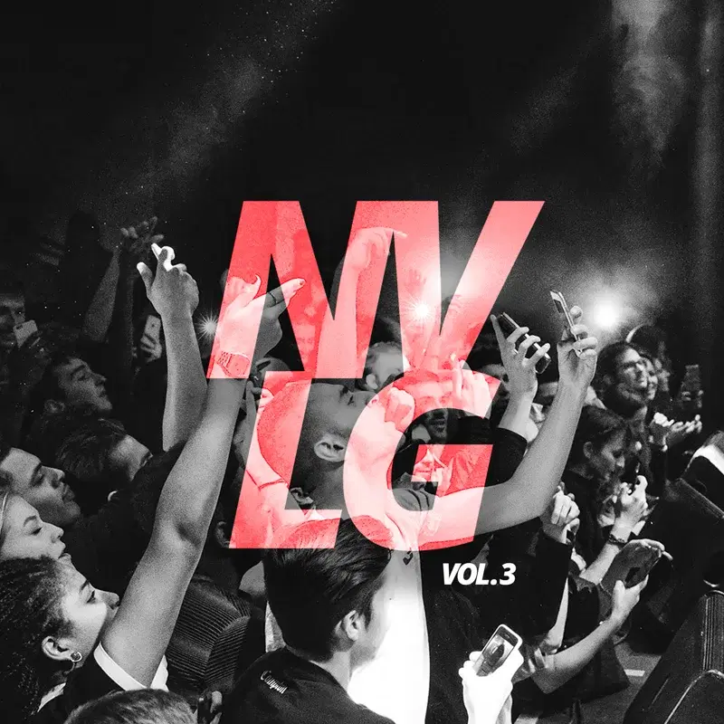 NVLG 3