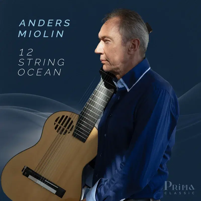 Boccherini: Quintet for Guitar and String Quartet in D Minor, G. 445: III. Minuetto (Arr. for 13-String Guitar by Anders Miolin)