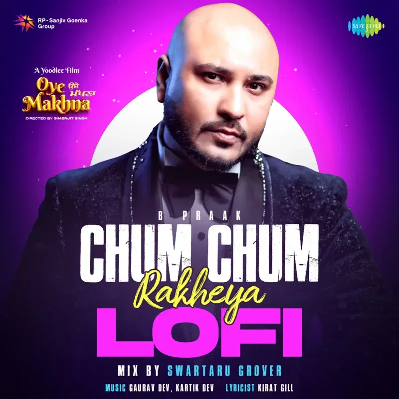 Chum Chum Rakheya Lofi (From "Oye Makhna") - Single