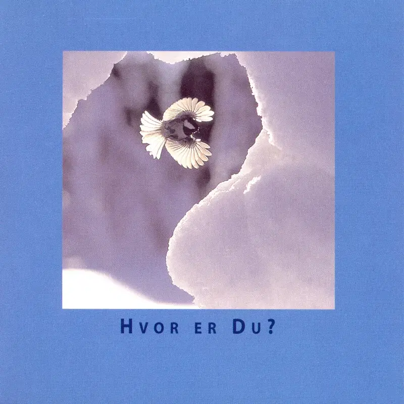 Hvor Er Du?