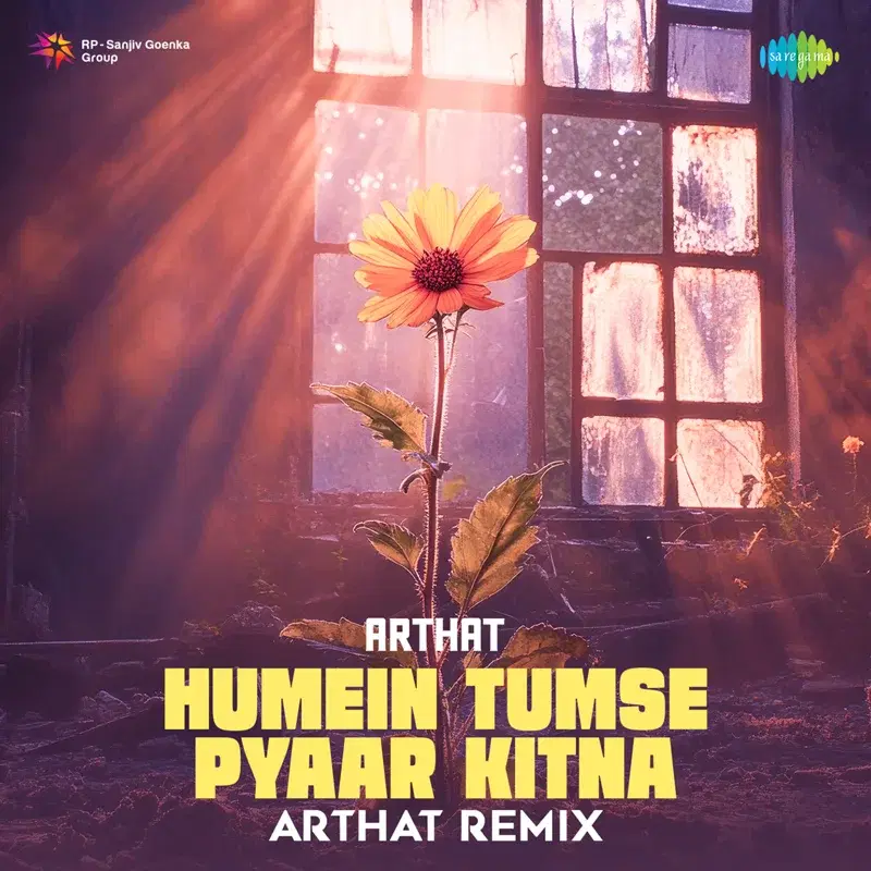 Humein Tumse Pyaar Kitna