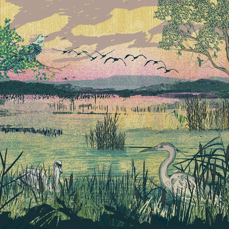 There's Still Time (Curlew)