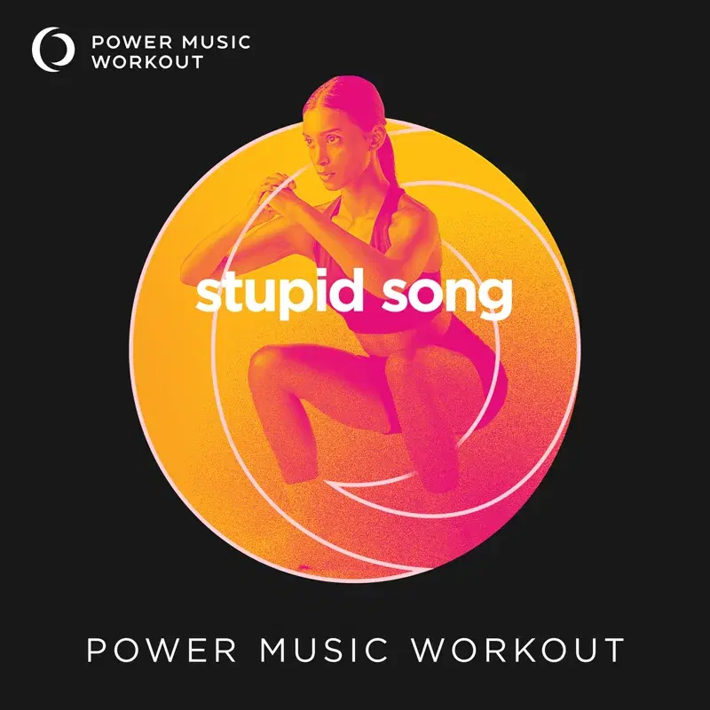 stupid song