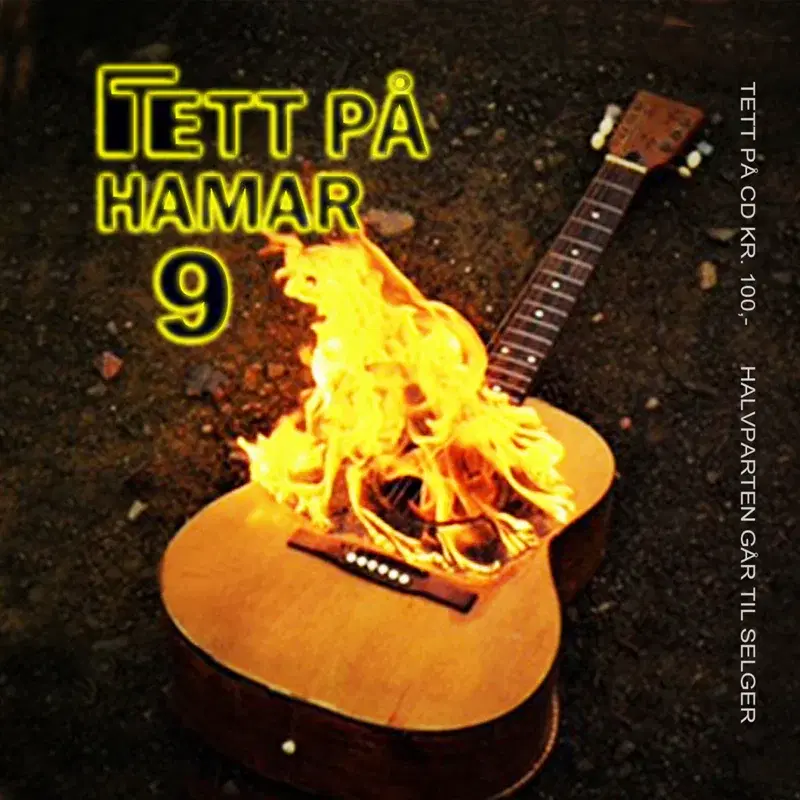 Tett på Hamar 9