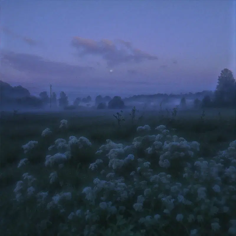 lost in haze