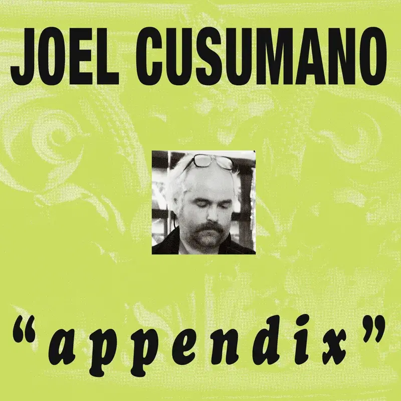 Appendix