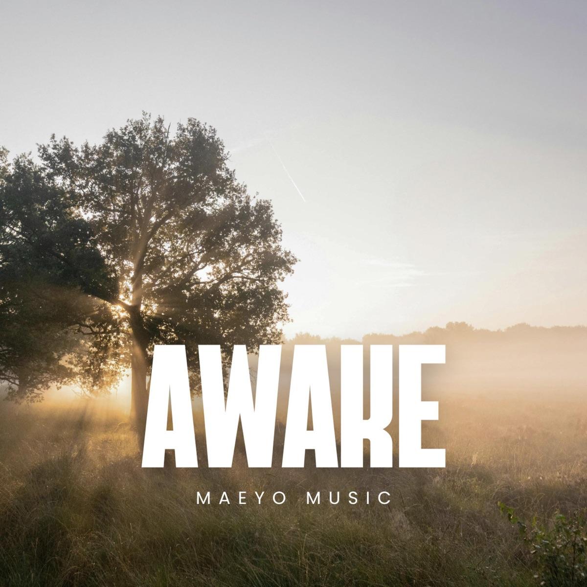 Awake