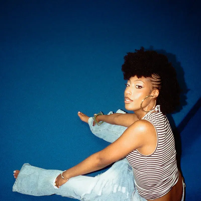 Steppers